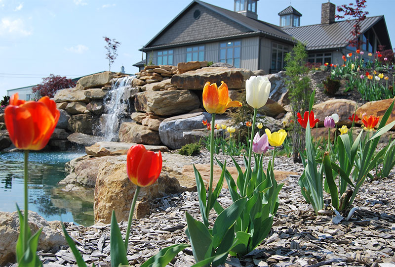 The Gardens at Homestead